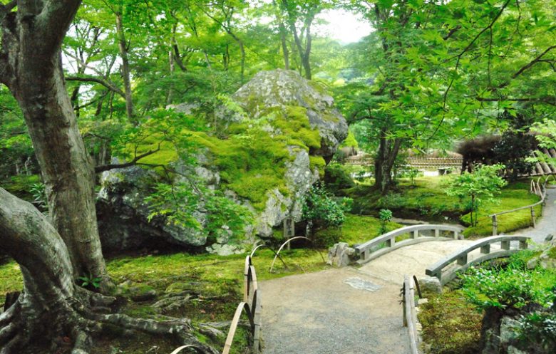 大吉が当たれば、室町時代に作庭された歴史ある庭園「獅子吼の庭」を拝観できる