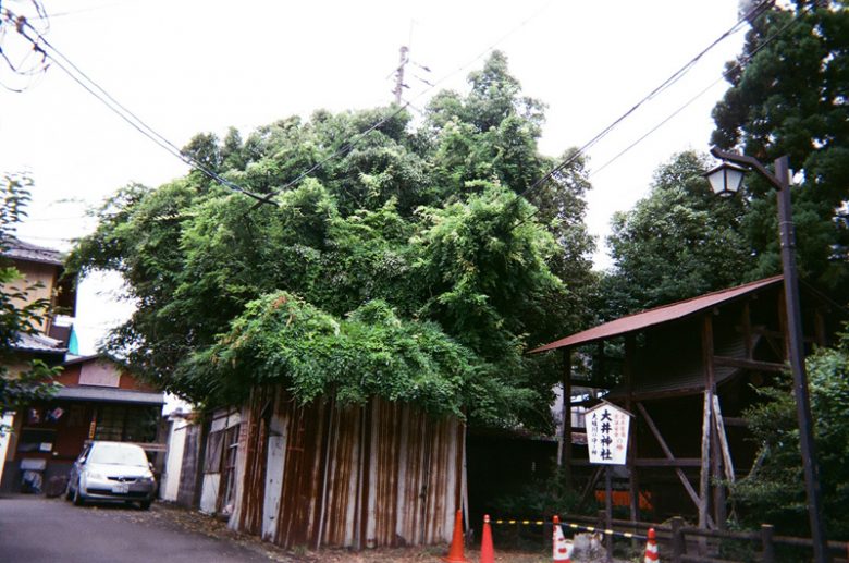 ただならぬ気配の大井神社