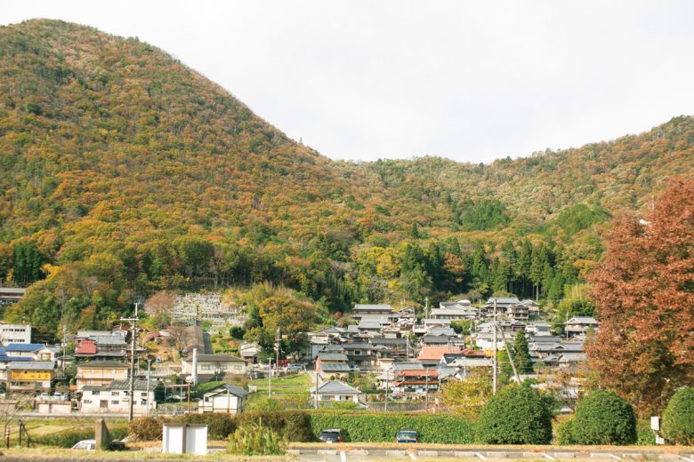 里山に囲まれた緑ゆたかな郷の路地裏には約60の窯元が並び、作家さんが作陶する姿が覗けたり、お店では直接、器類を買えたり陶芸体験ができる窯元もあります。