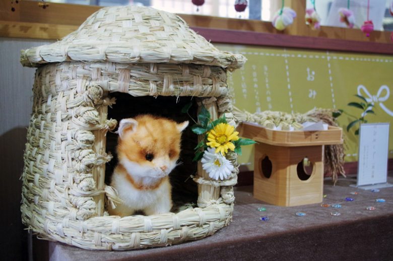 創作館では猫のお部屋？　なんかも作ら得ているのが可愛い