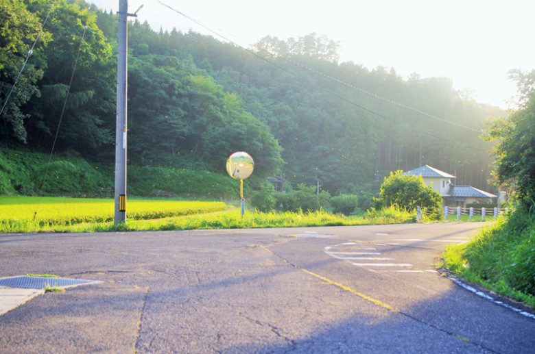 トンボが舞う風景がどこか懐かしい