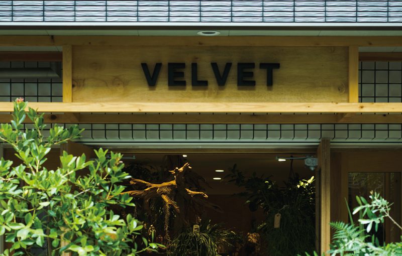 2017年オープン。今年、話題となった関西のニューフェイスたちをPick!NEW SHOP GUIDE #VELVET