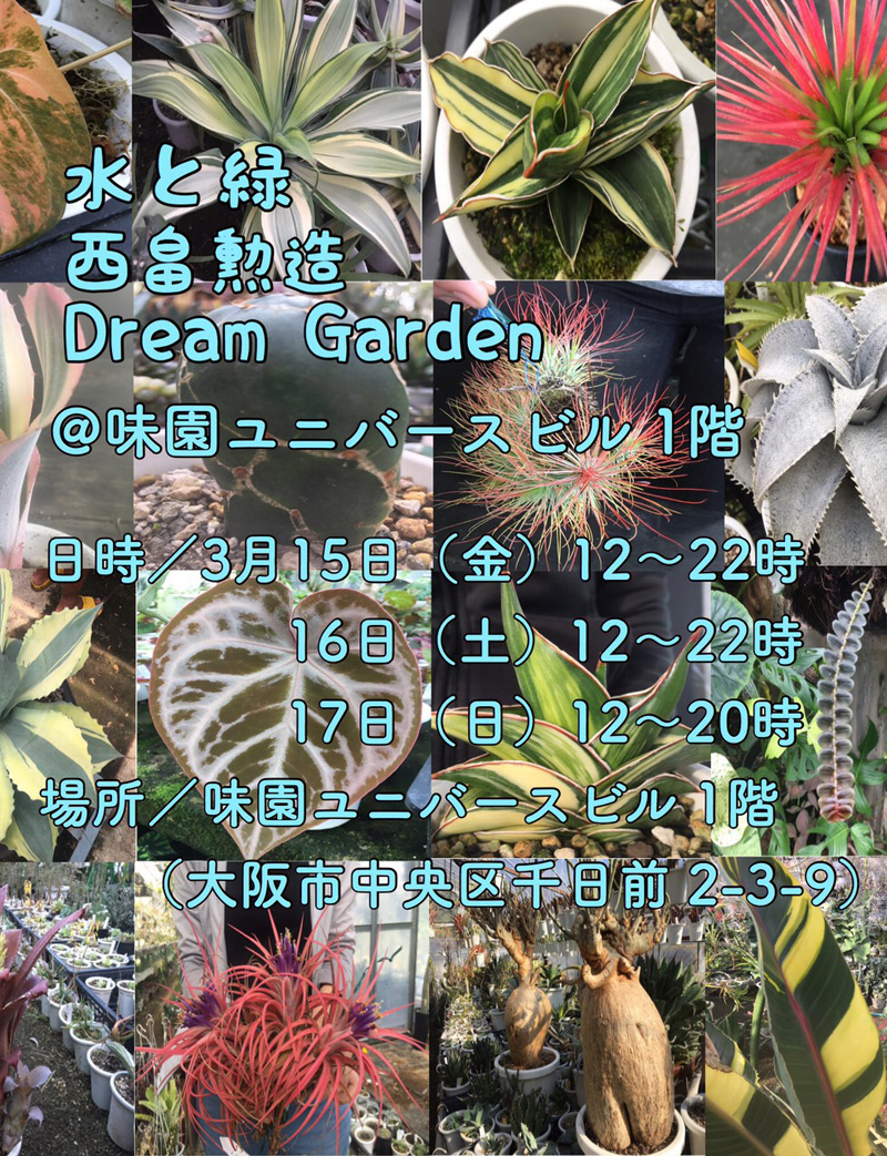 水と緑 西畠勲造
Dream Garden