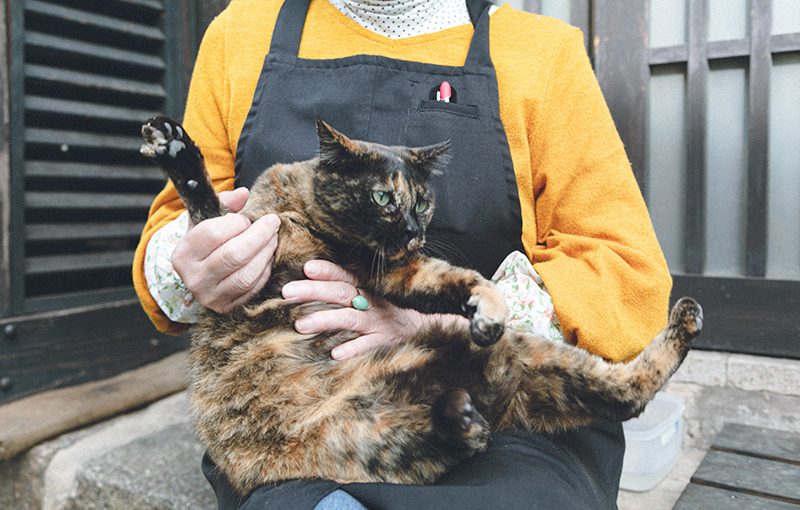 新幹線で1時間のプチトリップへ！カワイイがたくさんのゆるーり広島旅行記